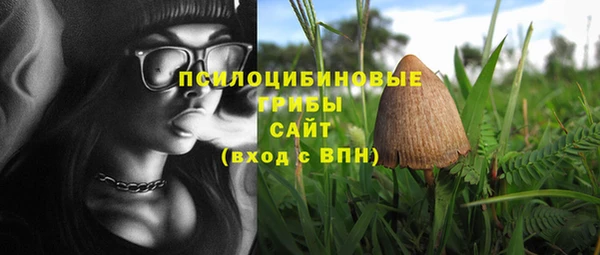 амф Верея