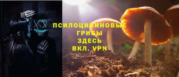 гашик Верхнеуральск