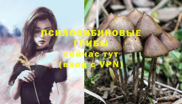 прущие крисы Волосово