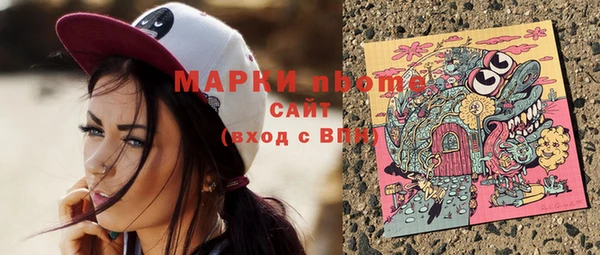 амф Верея