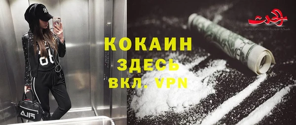амф Верея