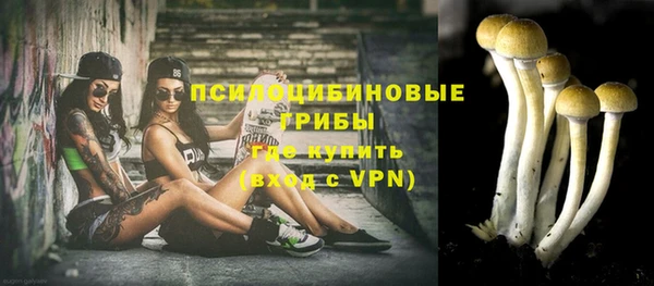 гашик Верхнеуральск