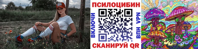 Галлюциногенные грибы мицелий Змеиногорск